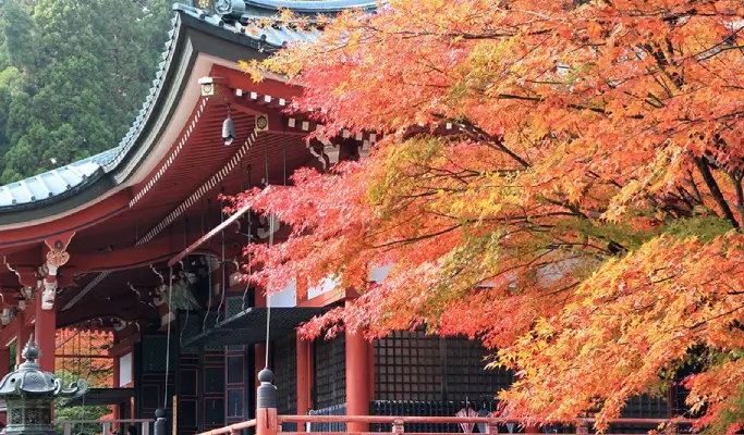 Autumn Special: Mt. Hiei Enryakuji Temple + Hachiman-bori Canal + Kyorinbo Temple Tour from Osaka/ Kyoto (Nov 15~Dec 7)