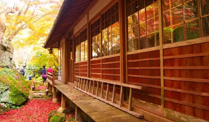 Autumn Special: Mt. Hiei Enryakuji Temple + Hachiman-bori Canal + Kyorinbo Temple Tour from Osaka/ Kyoto (Nov 15~Dec 7)