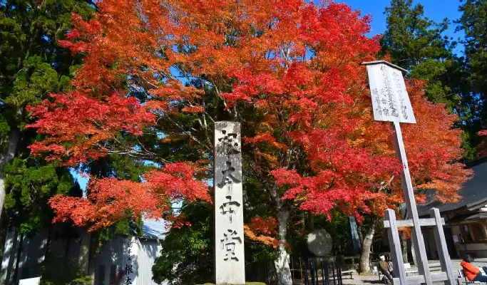 Autumn Special: Mt. Hiei Enryakuji Temple + Hachiman-bori Canal + Kyorinbo Temple Tour from Osaka/ Kyoto (Nov 15~Dec 7)