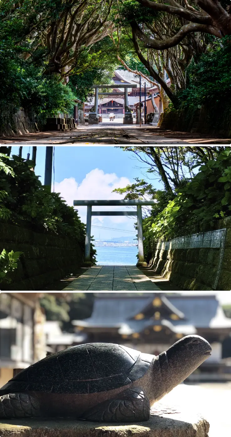 Sakatsura Isosaki Shrine's mystical 300-year-old camphor tree and sasanqua camellia-lined path, torii and fortune turtle