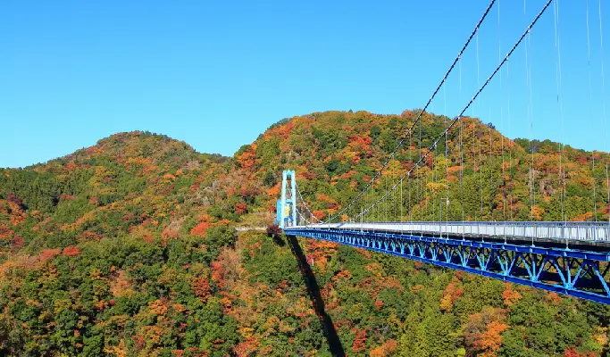 Autumn Special: Hitachi Seaside Park & Fukuroda Falls & Ryujin Suspension Bridge  1 Day Tour from Tokyo (Oct 18~Nov 30)