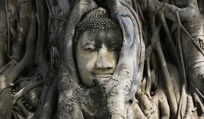 Ayutthaya 5 Temples & Bang Pa-In Palace 1 Day Tour from Bangkok (Join-in/Private)