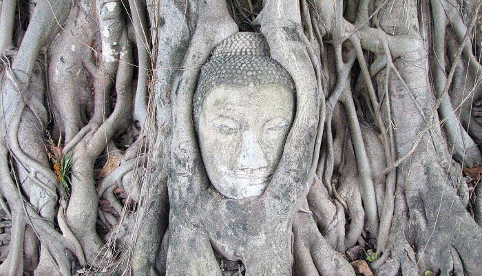 Ayutthaya Group Tour: Kingdom of Might & Magic