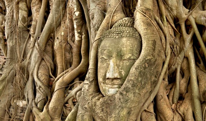 Ayutthaya 1 Day Private Taxi Tour - from Bangkok