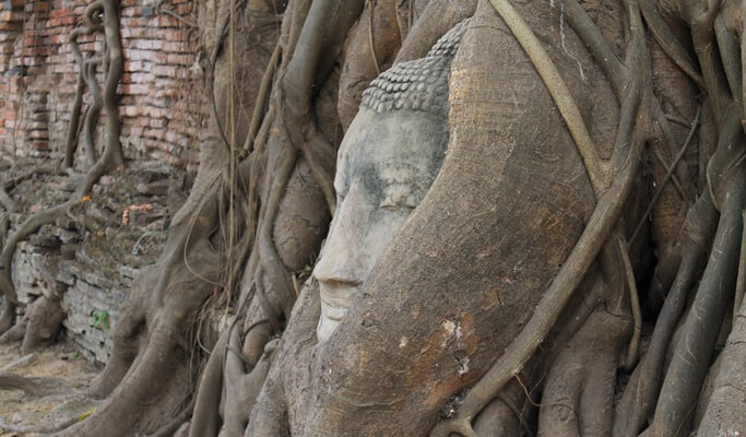 Ayutthaya UNESCO Temples 1 Day Tour (+ Lunch) - from Bangkok