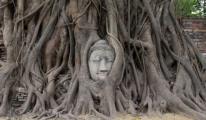 Ayutthaya 1 Day Tour by Coach and Cruise (+ Lunch) - from Bangkok