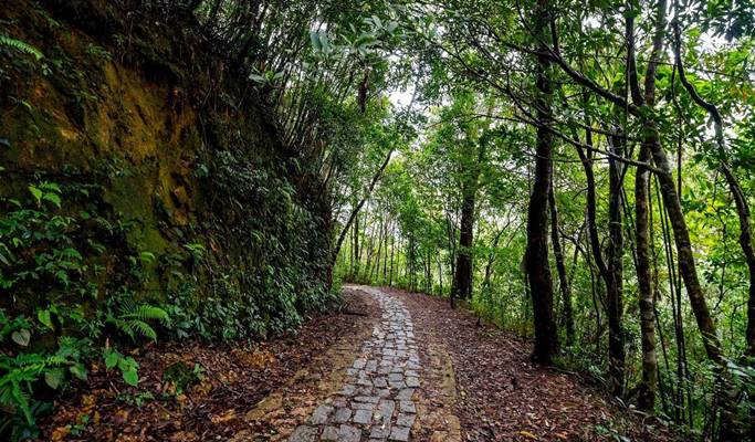 Bach Ma National Park: Hai Vong Dai & Do Quyen Waterfall 1 Day Trekking Tour - from Hue City
