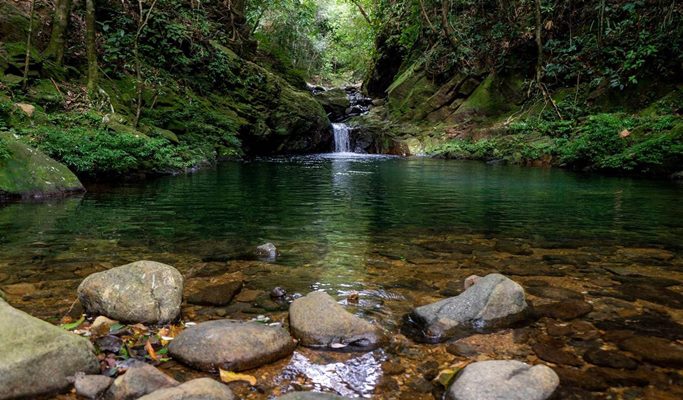 Bach Ma National Park: Hai Vong Dai & Do Quyen Waterfall 1 Day Trekking Tour - from Hue City