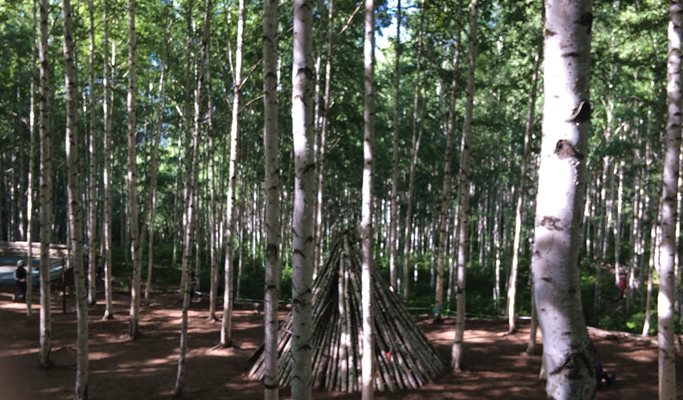 Seoraksan National Park + Baekdamsa Temple + Wondae-ri Birch Tree Forest 1 Day Tour - from Seoul (~Jan 31)