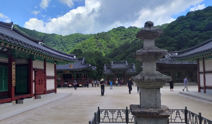 Seoraksan National Park + Baekdamsa Temple + Wondae-ri Birch Tree Forest 1 Day Tour - from Seoul (~Jan 31)