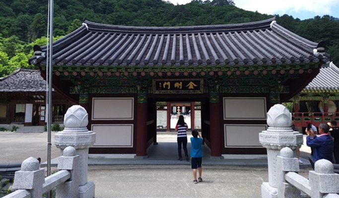Seoraksan National Park + Baekdamsa Temple + Wondae-ri Birch Tree Forest 1 Day Tour - from Seoul (~Jan 31)
