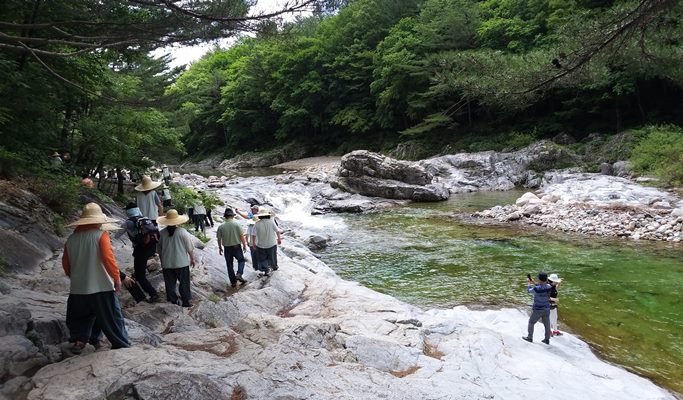 Seoraksan National Park + Baekdamsa Temple + Wondae-ri Birch Tree Forest 1 Day Tour - from Seoul (~Jan 31)