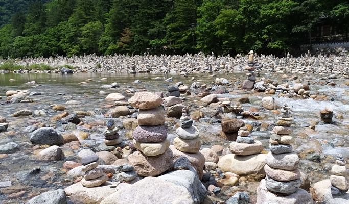 Seoraksan National Park + Baekdamsa Temple + Wondae-ri Birch Tree Forest 1 Day Tour - from Seoul (~Jan 31)