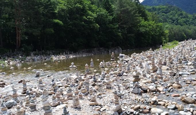 Seoraksan National Park + Baekdamsa Temple + Wondae-ri Birch Tree Forest 1 Day Tour - from Seoul (~Jan 31)