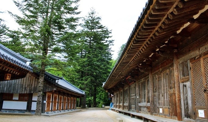Templestay Korea: Baekdamsa Temple in Seoraksan National Park (+ Shuttle Bus)
