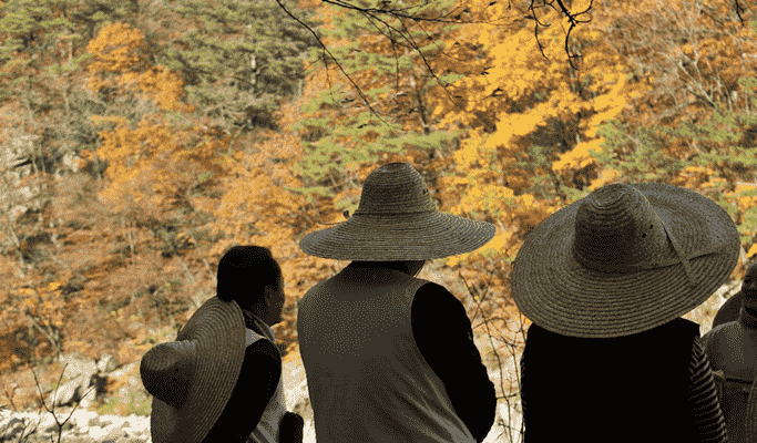 Templestay Korea: Baekdamsa Temple in Seoraksan National Park (+ Shuttle Bus)