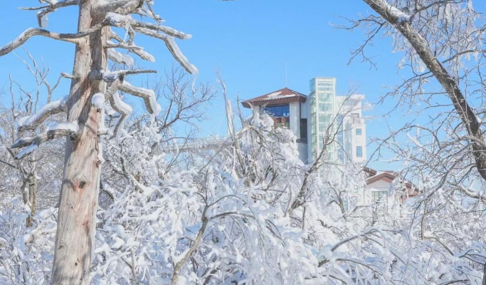 Balwangsan Cable Car (+ Woljeongsa Temple/ Samyang Ranch) 1 Day Tour - from Seoul (Oct 12~Feb 28)
