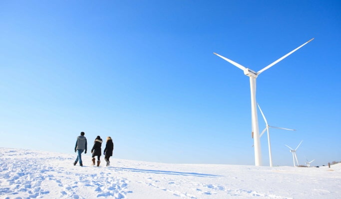 Balwangsan Cable Car (+ Woljeongsa Temple/ Samyang Ranch) 1 Day Tour - from Seoul (Oct 12~Feb 28)