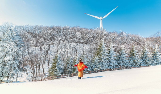 Balwangsan Cable Car (+ Woljeongsa Temple/ Samyang Ranch) 1 Day Tour - from Seoul (Oct 12~Feb 28)