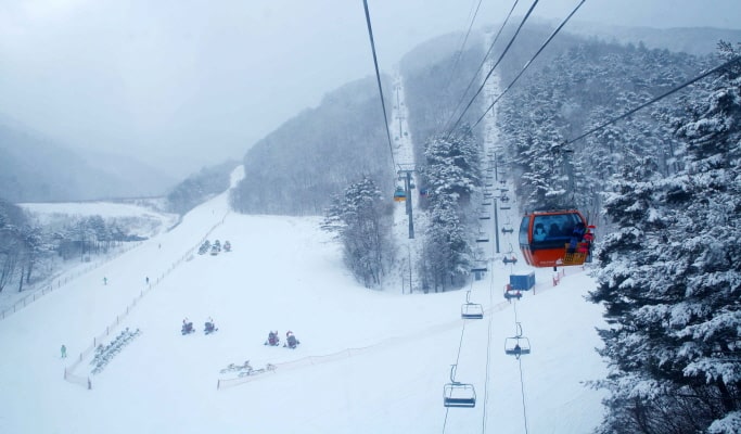 Balwangsan Cable Car (+ Woljeongsa Temple/ Samyang Ranch) 1 Day Tour - from Seoul (Oct 12~Feb 28)