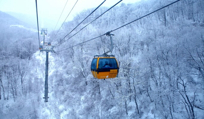 Balwangsan Cable Car (+ Woljeongsa Temple/ Samyang Ranch) 1 Day Tour - from Seoul (Oct 12~Feb 28)