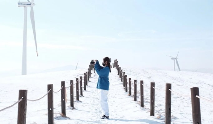 Balwangsan Cable Car (+ Woljeongsa Temple/ Samyang Ranch) 1 Day Tour - from Seoul (Oct 12~Feb 28)