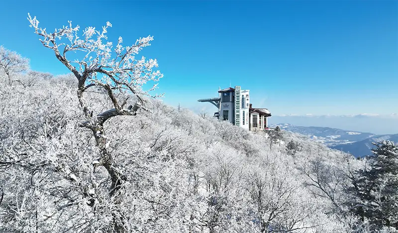 Balwangsan Cable Car & Samyang Ranch 1 Day Tour - from Seoul (Dec 3~Feb 27) - view 2
