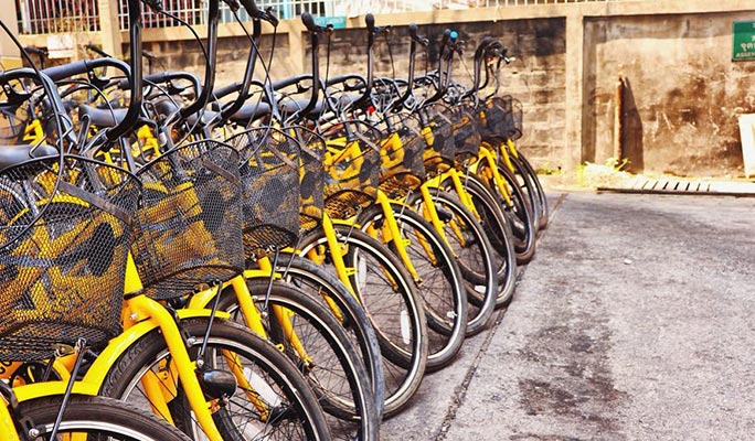 Bangkok by Bike Half Day Tour (Morning/Afternoon/Night)