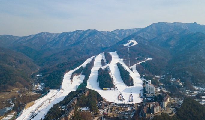Bears Town Ski Resort Snow Sledding + Pocheon Herb Island Light Festival 1 Day Tour (Dec~Feb)