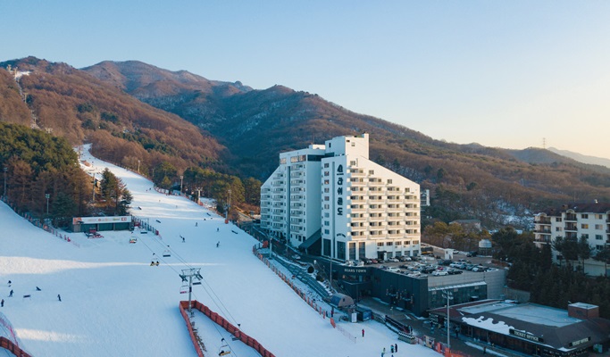 Bears Town Ski Resort Snow Sledding + Pocheon Herb Island Light Festival 1 Day Tour (Dec~Feb)