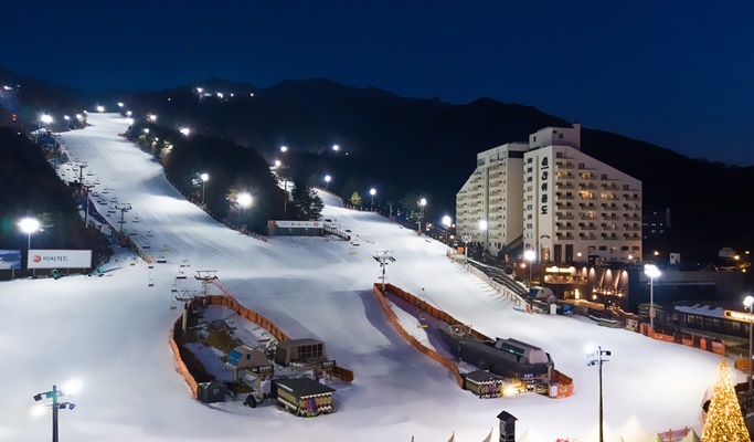Bears Town Ski Resort Snow Sledding + Pocheon Herb Island Light Festival 1 Day Tour (Dec~Feb)