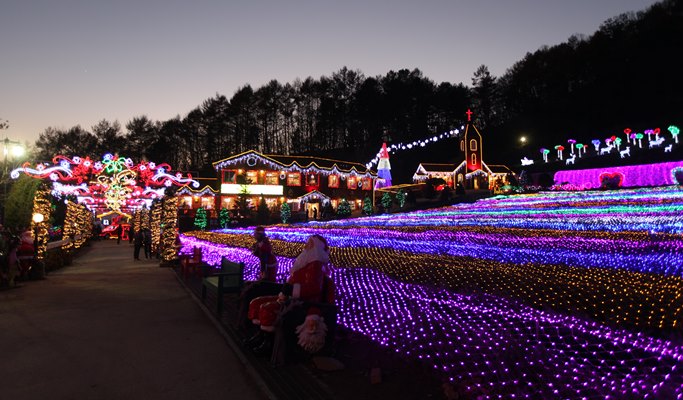 Bears Town Ski Resort Snow Sledding + Pocheon Herb Island Light Festival 1 Day Tour (Dec~Feb)