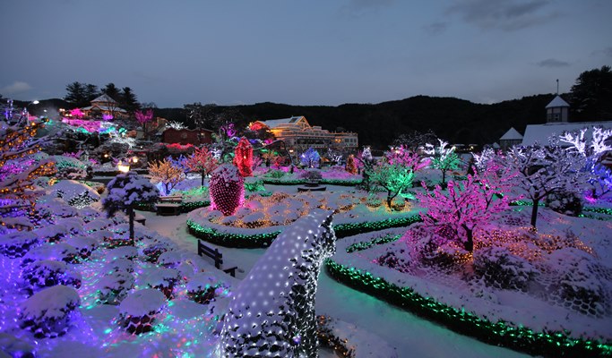 Bears Town Ski Resort Snow Sledding + Pocheon Herb Island Light Festival 1 Day Tour (Dec~Feb)