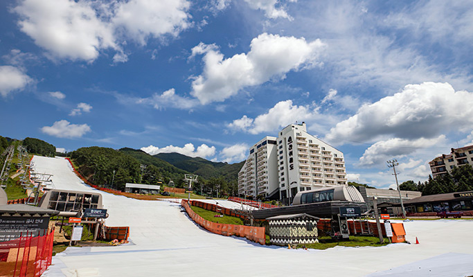 1 Day Ski + Lesson Tour: Bears Town Ski Resort