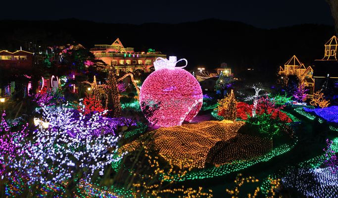 Bears Town Ski Resort Snow Sledding + Pocheon Herb Island Light Festival 1 Day Tour (Dec~Feb)