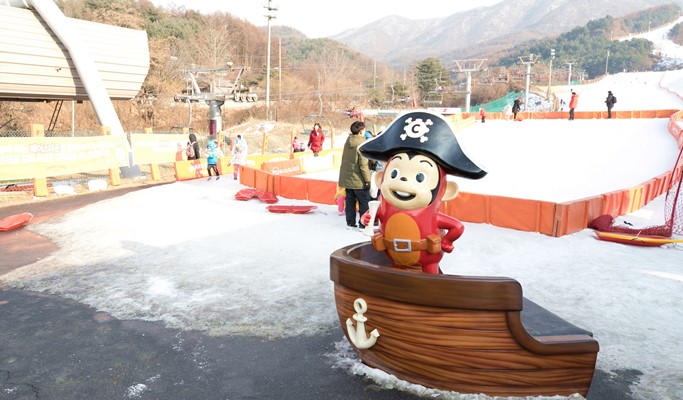 Bears Town Ski Resort Snow Sledding + Pocheon Herb Island Light Festival 1 Day Tour (Dec~Feb)