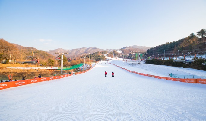 Bears Town Ski Resort Snow Sledding + Pocheon Herb Island Light Festival 1 Day Tour (Dec~Feb)