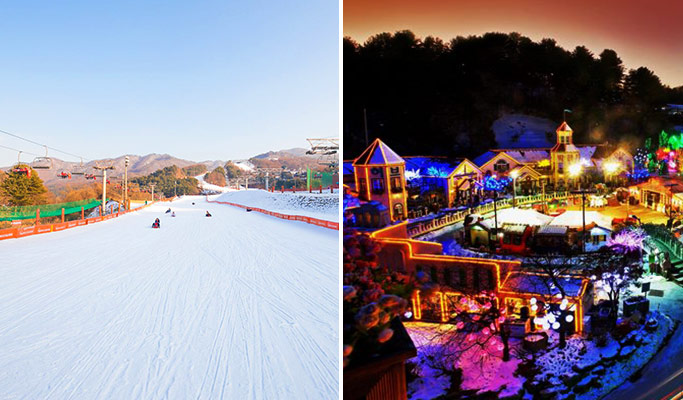 Bears Town Ski Resort Snow Sledding + Pocheon Herb Island Light Festival 1 Day Tour (Dec~Feb)