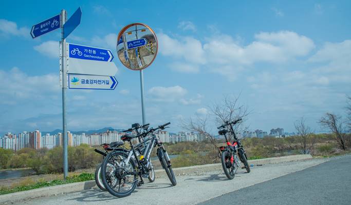 Standard/Electric Bicycle Rental in Daegu