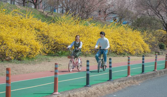 Standard/Electric Bicycle Rental in Daegu