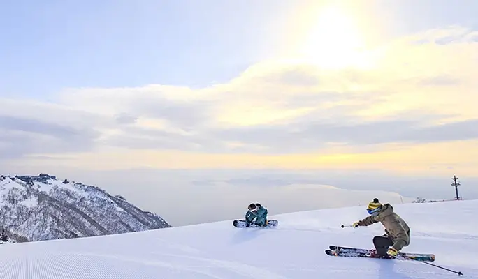 Shiga Biwako Valley: 1 Day Ski/Snow Sled Tour - from Osaka