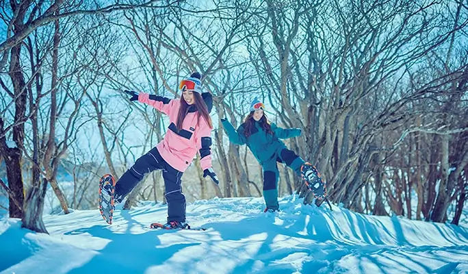 Shiga Biwako Valley: 1 Day Ski/Snow Sled Tour - from Osaka
