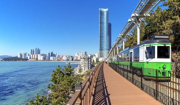 Spring Special: Busan Cherry Blossom 1 Day Tour (+ Accommodation option) (Mar 29~Apr 7)