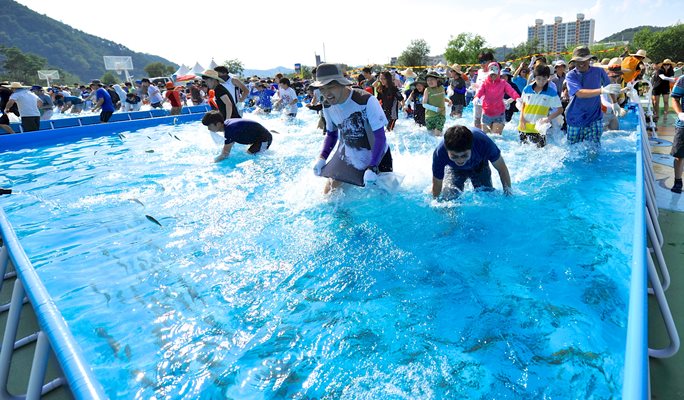 Bonghwa Eun-uh (Sweet Fish) Festival 1 Day Tour (Jul 29 ~ Aug 5)