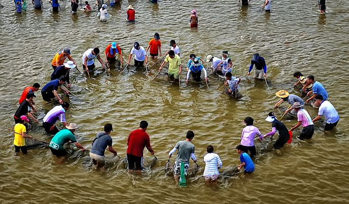 Bonghwa Eun-uh (Sweet Fish) Festival 1 Day Tour (Jul 29 ~ Aug 5)