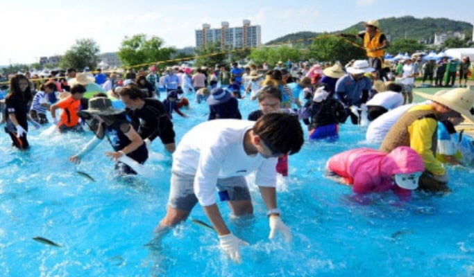 2025 Bonghwa Euneo (Sweetfish) Festival 1 Day Tour - from Seoul (Jul 26 & 27)