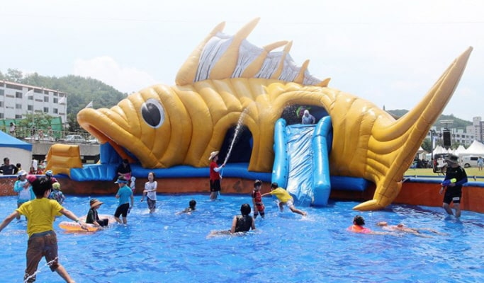 2025 Bonghwa Euneo (Sweetfish) Festival 1 Day Tour - from Seoul (Jul 26 & 27)