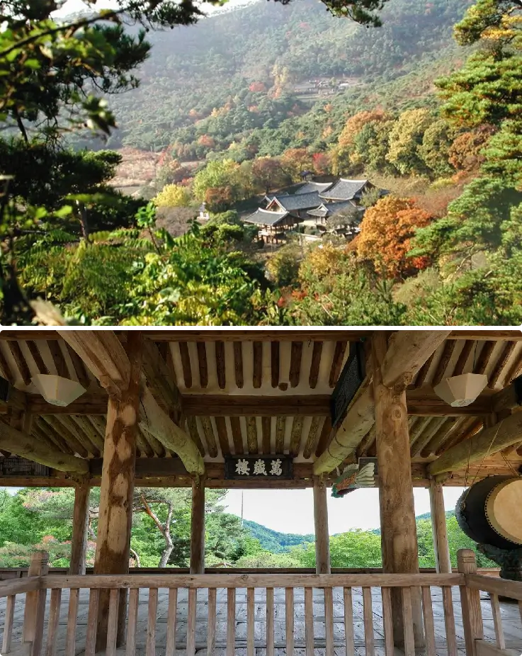 Bongjeongsa Temple surrounded by forested mountains near Andong.