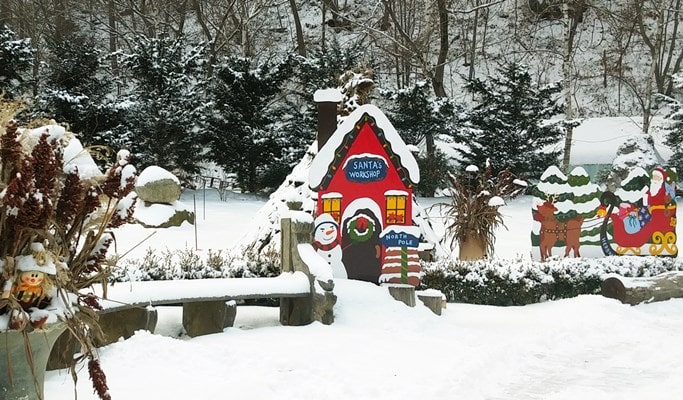 Pyeongchang & Gangneung Private Tour (from Pyeongchang & Gangneung)