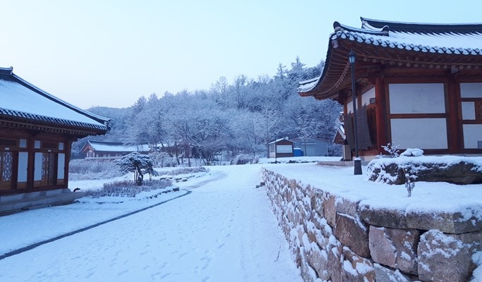Templestay Korea: Bongsunsa Temple (Half Day)
